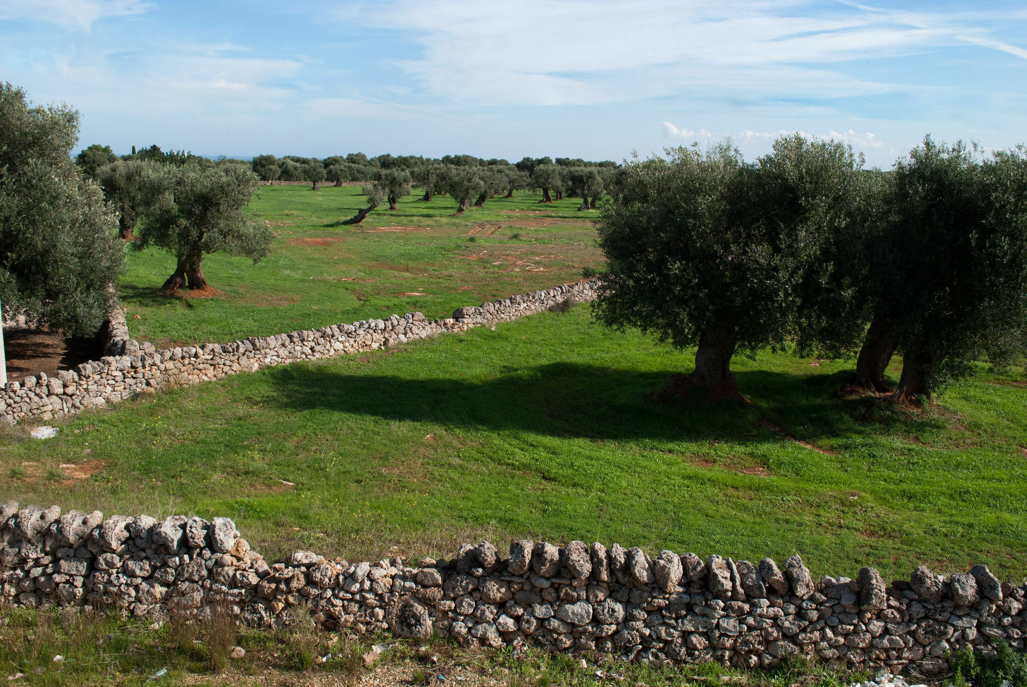 Masseria Lama D'Impisa Фазано Экстерьер фото